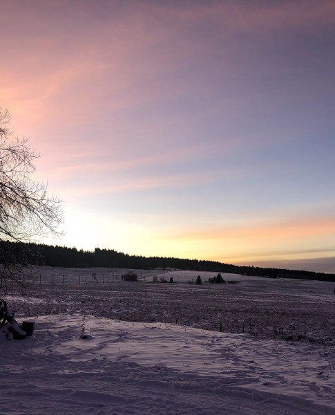 Berglehrpfad Hřebečná – Ryžovna